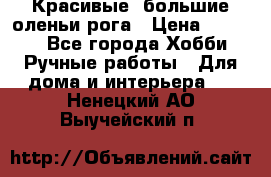 Красивые  большие оленьи рога › Цена ­ 3 000 - Все города Хобби. Ручные работы » Для дома и интерьера   . Ненецкий АО,Выучейский п.